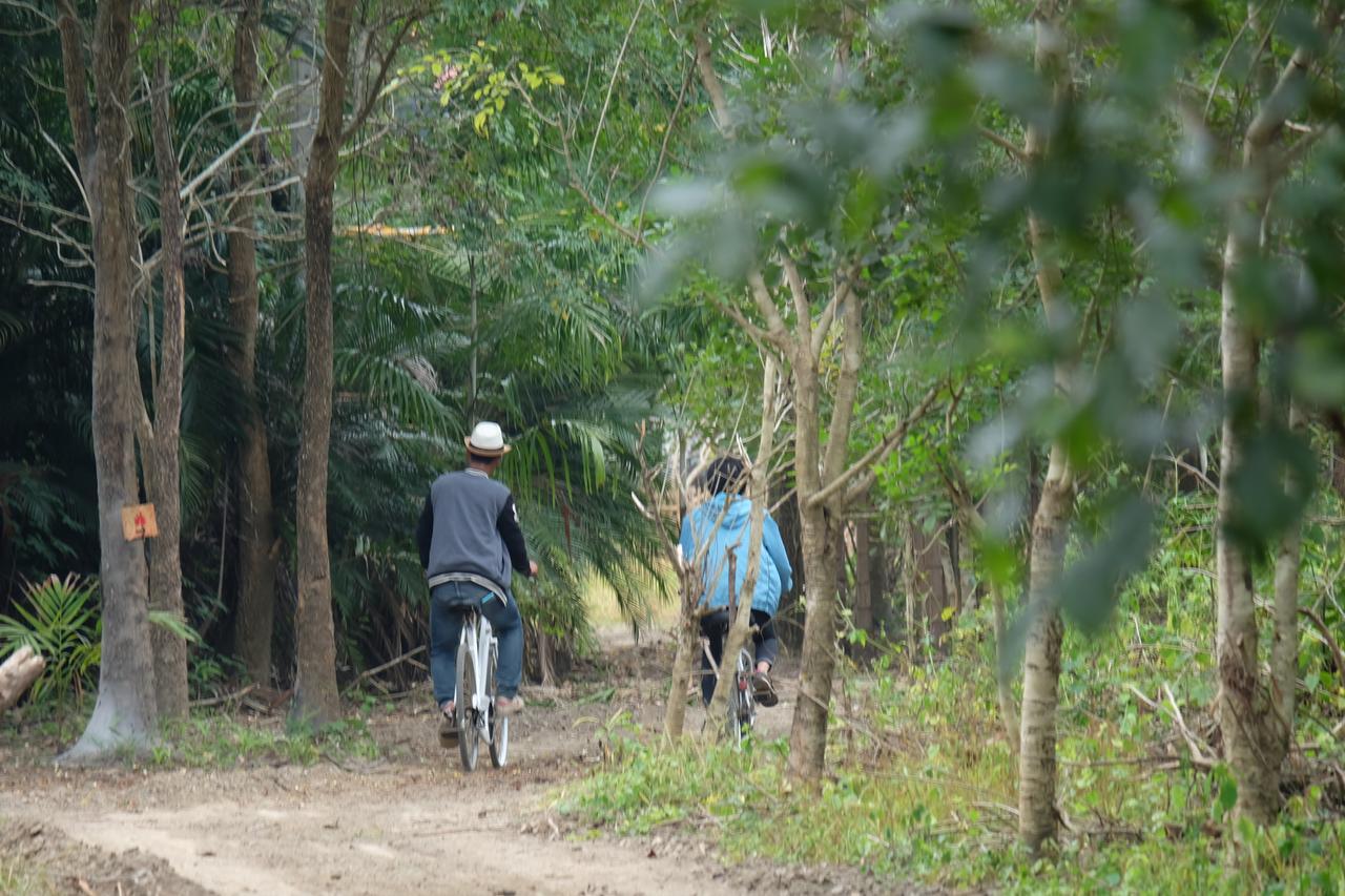 Camp Story Chiangmai Hotel Chiang Mai Eksteriør billede