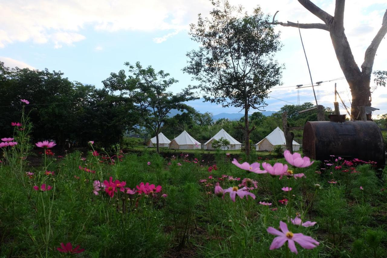 Camp Story Chiangmai Hotel Chiang Mai Eksteriør billede